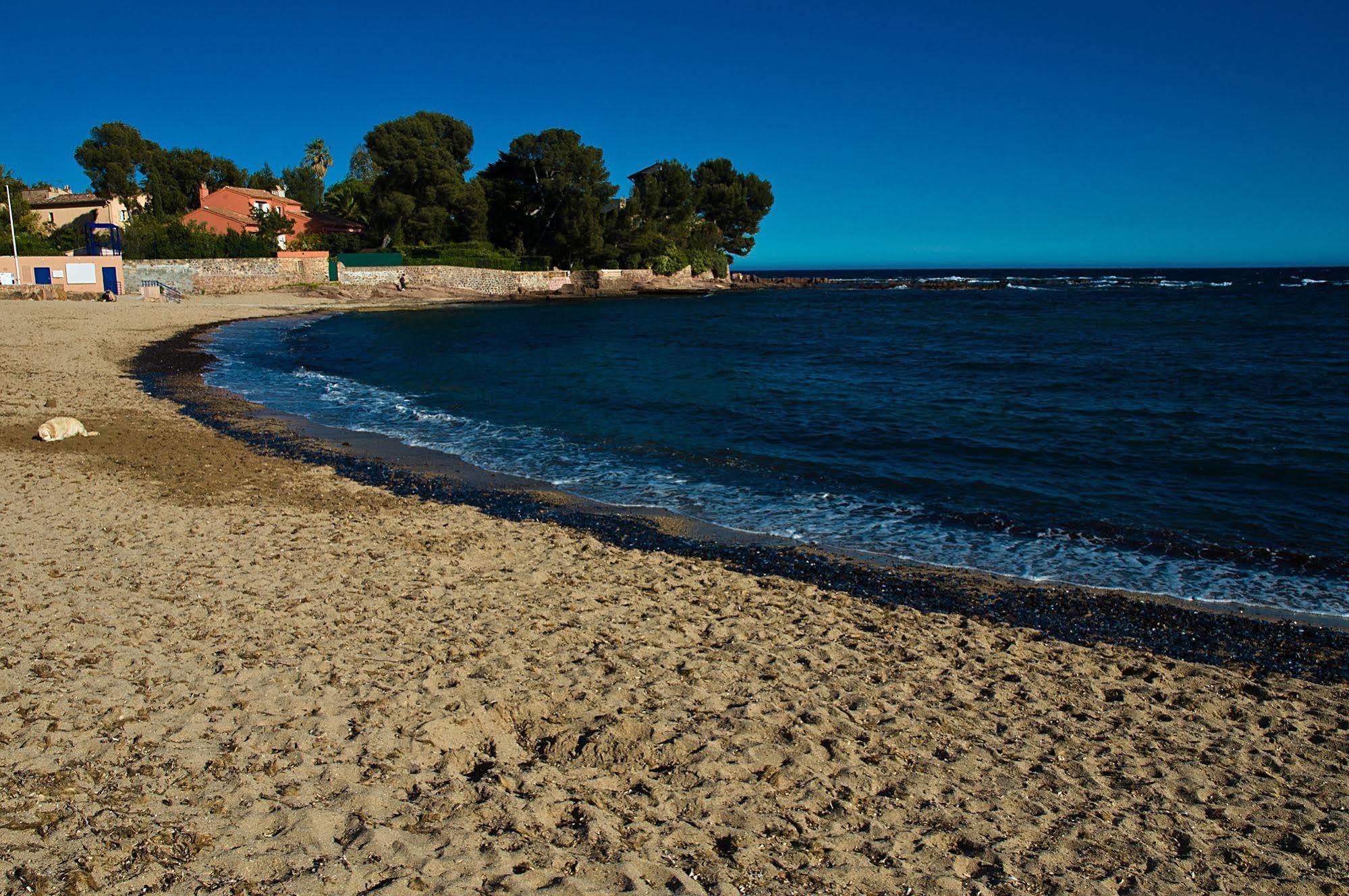 Hotel Et Studios Les Amandiers Saint-Raphaël Zewnętrze zdjęcie